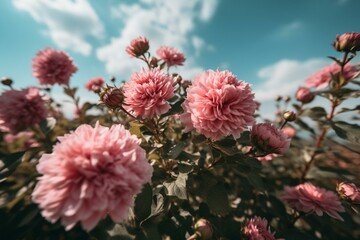Pink flowers, clear sky and fluffy clouds. Generative AI