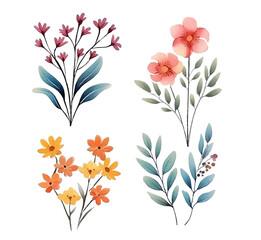 Vector watercolor wild floral element collection