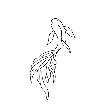 recommend clip art: Vector isolated one single beautiful fish with long tail top view colorless black and white contour line easy drawing