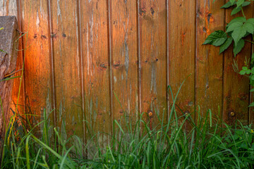 Wooden brown fence green grass Peeling paint fence