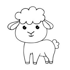 Linear sketch, coloring of a little sheep. Vector graphics.