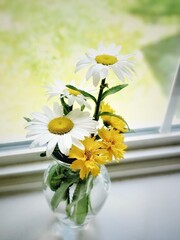 Cute flowers in vases by the window