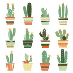 Fototapete Kaktus im Topf set of cactuses in pot