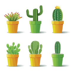 set of cactuses in pot