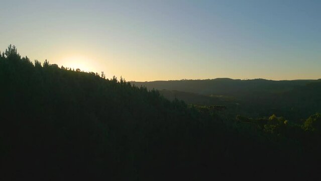 Aerial cinematic stabilized shot of Brazilian temperate forest and mountains at sunset