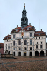 Fototapeta na wymiar Luneburg Feb in front of the town hall