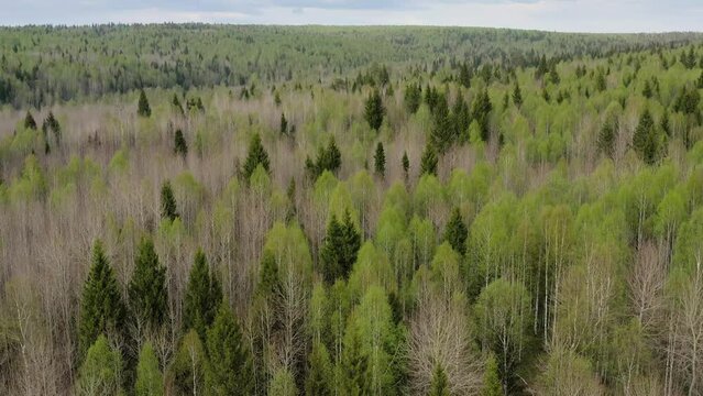 Southern Urals in spring, a view of the mountain taiga from the air.
