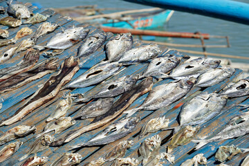 fresh fish from fisherman village on cebu island