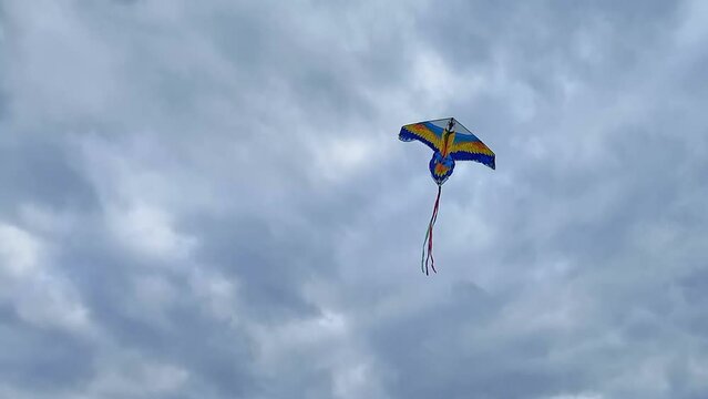 bright colored parrot kite flies in cloudy sky under control of child. Windy weather for kite flying. flat kite. Outdoor