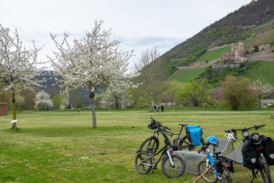 Much bicycles in the park near little river in the spring.