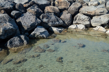 Lava Stones in the Corner of a Harbor in Hawaii.