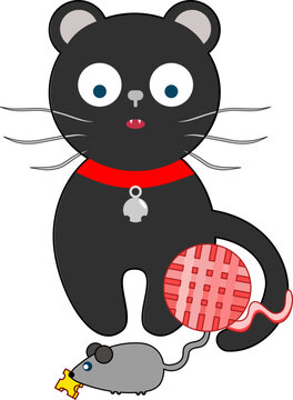cat and mouse