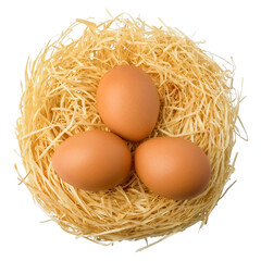 Fresh eggs in a nest of straw on a white background. Isolated