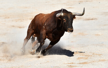 un toro español con grandes cuernos en una plaza de toros