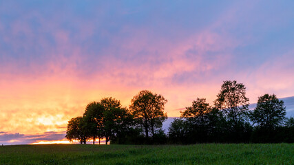Naklejka premium Abendrot mit einer Baumreihe 