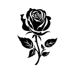 Fototapeta na wymiar Black and White Rose Vector Illustration