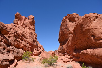 Western USA desert