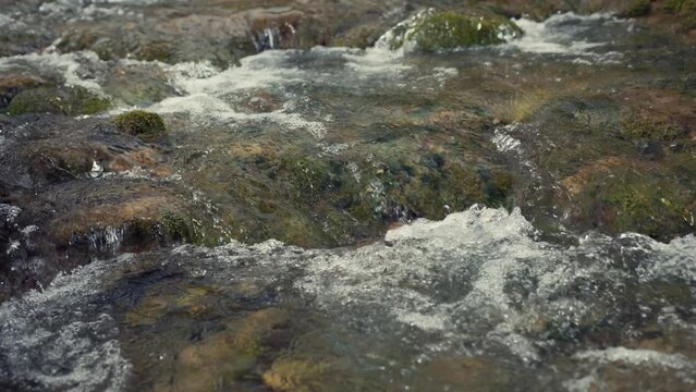 Close-up of a gurgling stream with rapids and mossy rocks.