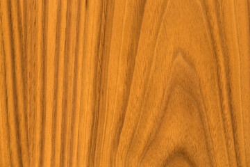 Natural wooden panel. Light brown wood texture. 