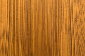 Natural wooden panel. Light brown wood texture. 