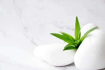 White stones and green leaves on marble background with copy space. Body care and beauty treatment. Spa and wellness or massage salon concept. SPA background concept. Copy space.
