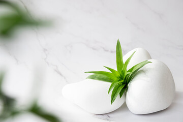 White stones and green leaves on marble background with copy space. Body care and beauty treatment. Spa and wellness or massage salon concept. SPA background concept. Copy space.