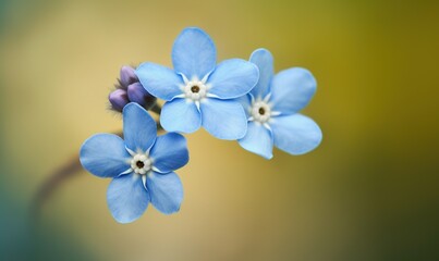  a close up of a blue flower with a blurry background.  generative ai