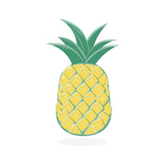 Pineapple isolated on white. Vector food illustration.