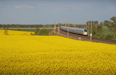 German trains run beside rapeseed flowers