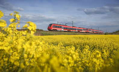 German trains run beside rapeseed flowers