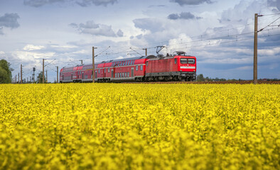 German trains run beside rapeseed flowers