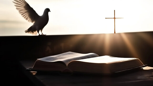 Bright sunlight, white dove and bible.
