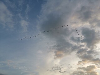 Sky view in the early morning of Hua Hin beach. Tourist attraction Hua Hin beach, Thailand in December. The sun is rising. A group of birds flew out of the nest in search of food. Start a new Morning.