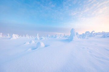 winter landscape with snow