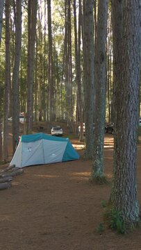 Aerial cinematic stabilized vertical shot of Brazilian pinus forest at a campsite. Waterfall's Park. The City of Canela. State of Rio Grande do Sul,  Brazil.