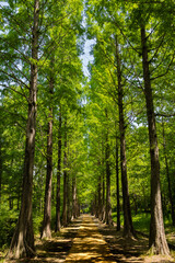 식물원에서의 하루