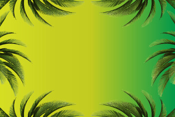 Fototapeta na wymiar Green tropical palm leaves on a green background. A simple beautiful summer concept 