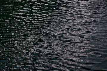 Obraz premium Water Surface Ripples