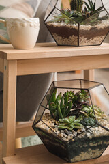 Stepladder with florariums and cup of coffee in room, closeup