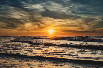 Piękny zachód słońca nad morzem, gdzie wzburzone fale łagodnie oblewają brzeg. W tle leci mewa, dodając niepowtarzalnego uroku temu widokowi. To idylliczne połączenie ruchu fal i kolorów zachodu. - obrazy, fototapety, plakaty