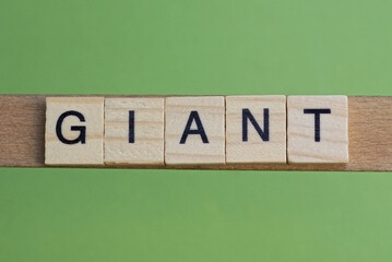 word giant made of small gray wooden letters on a green paper background
