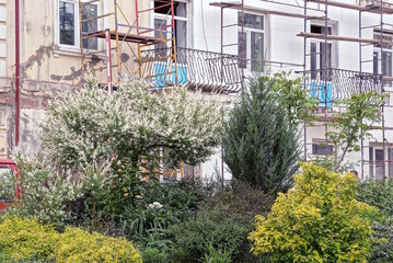 repair of the white wall of the house with windows and scaffolding behind green bushes and trees on the street