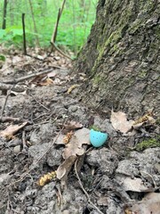 Blue broken egg’s shell, blue broken egg’s hull