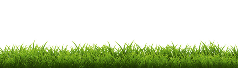 Fototapeta premium green grass background