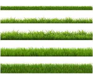 grass border
