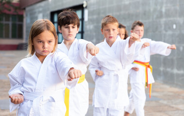 Fototapeta na wymiar Group of schoolchildren, boys and girls, practicing karate at the schoolyard outdoors