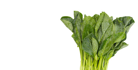 Collard greens on white background.