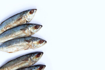 Salted fish on white background.