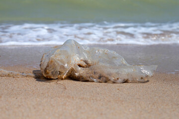 Plastic bag pollution on the beach