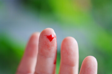 cut on the finger. blood from a wound on arm on the background of plants